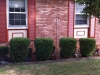 shutters